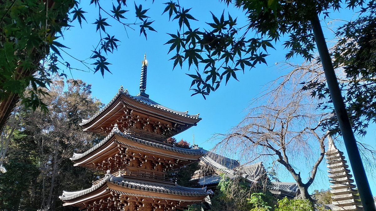 ⛩️ 큰 폭포 부동명왕 금장사 (오타키 후도손 콘조지)